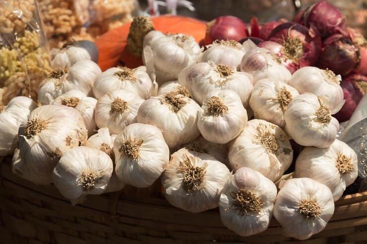 قیمت خرید سیر دست‌ چین با فروش عمده
